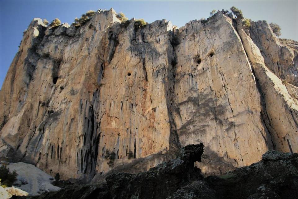 Mesoncillo Neo Villa Hornos Luaran gambar