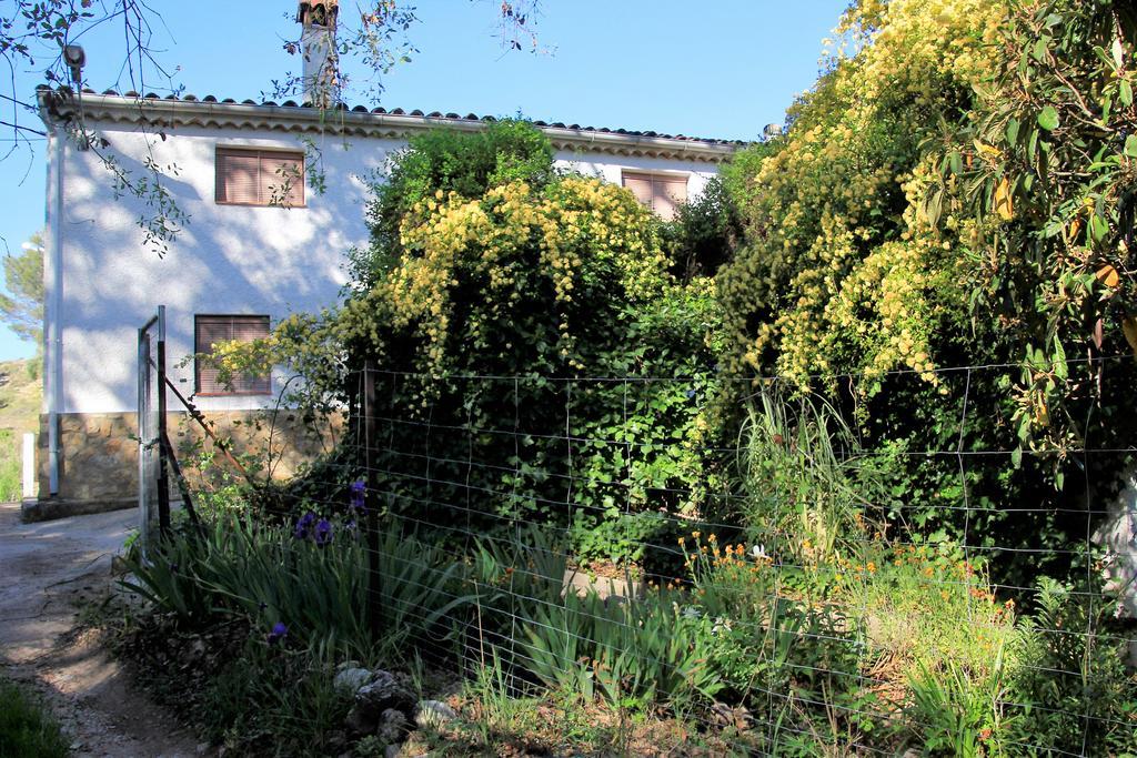 Mesoncillo Neo Villa Hornos Luaran gambar