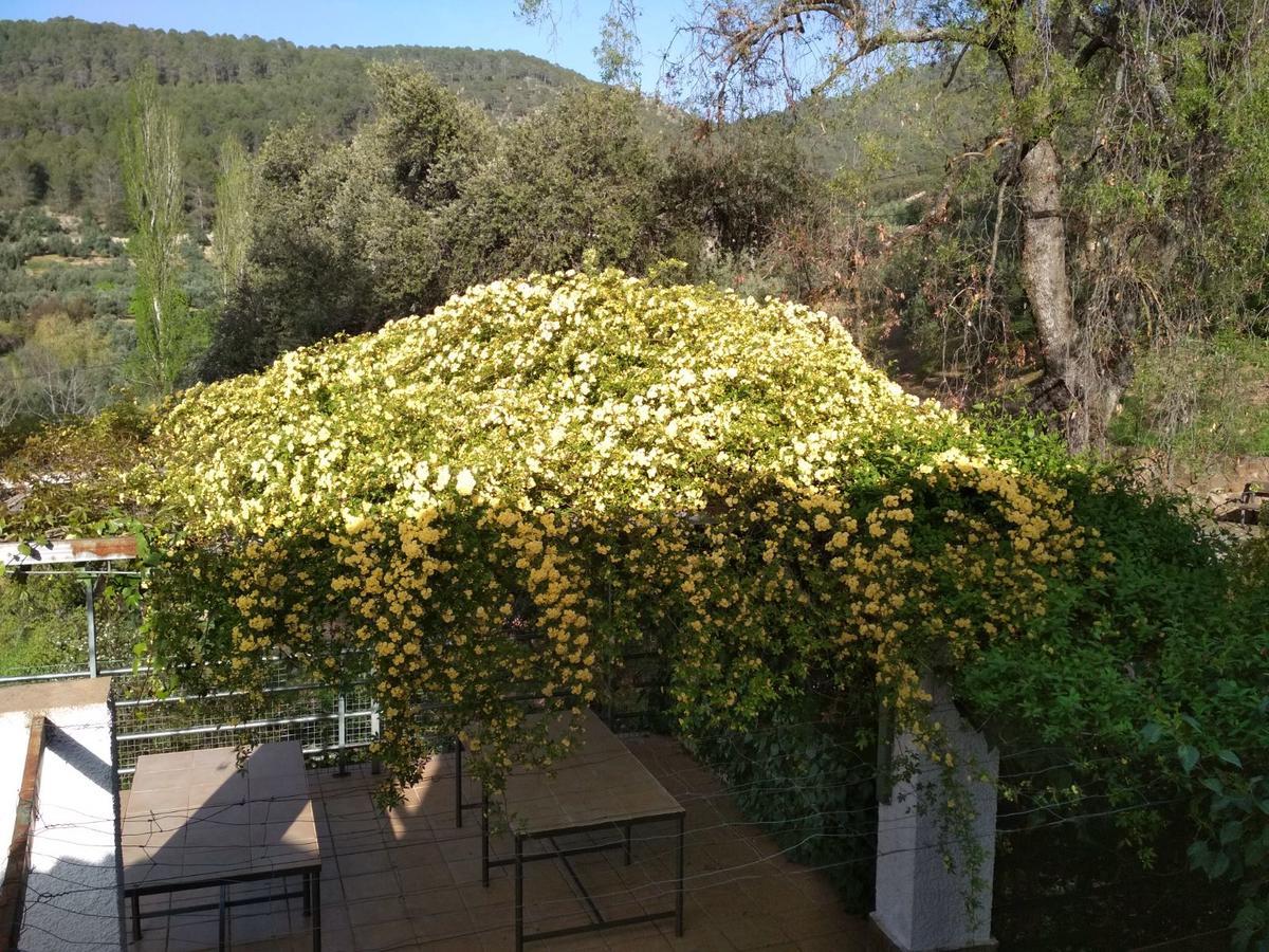 Mesoncillo Neo Villa Hornos Luaran gambar