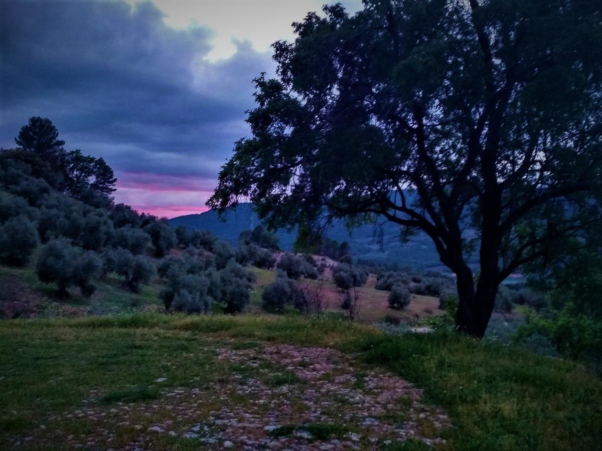 Mesoncillo Neo Villa Hornos Luaran gambar